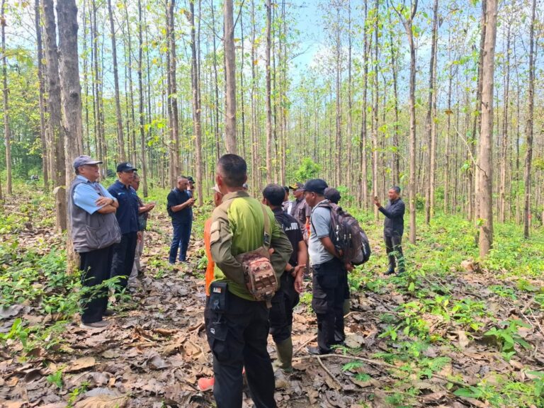 WhatsApp Image 2025-09-04 at 12.43.24