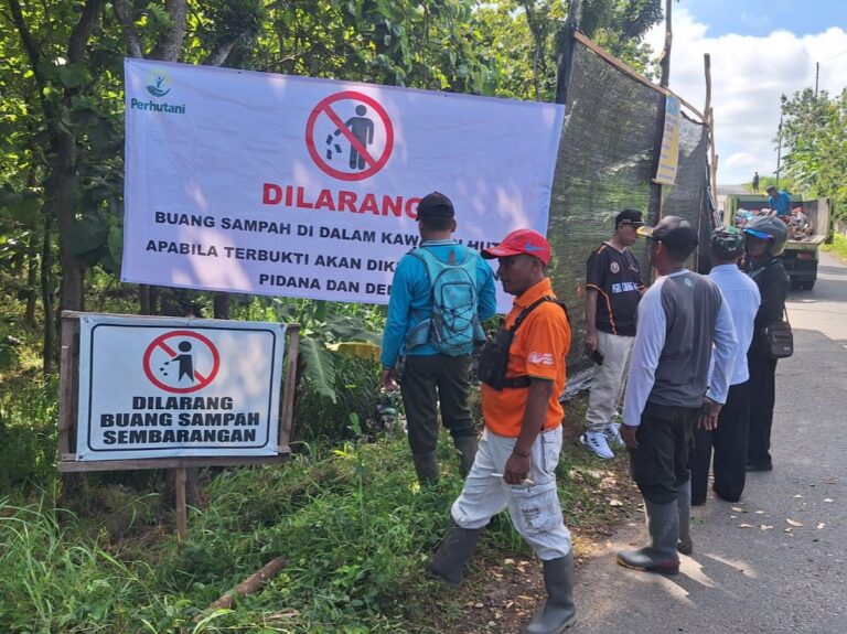 WhatsApp-Image-2025-12-17-at-18.06.35