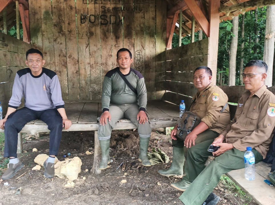 wmremove-transformed13