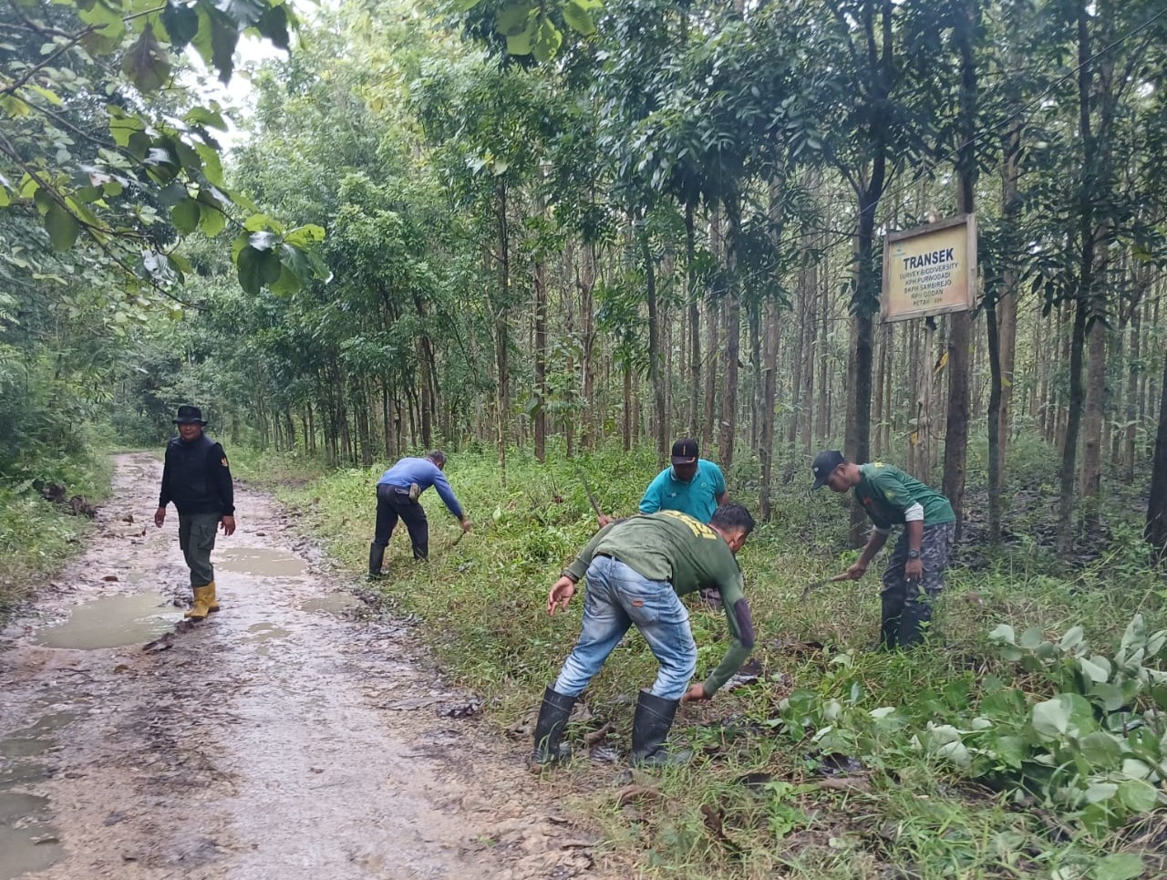 WhatsApp-Image-2026-01-23-at-09.47.27